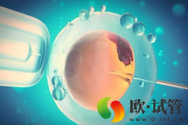 试管婴儿双胞胎的利弊(图1)