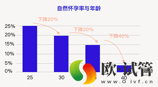试管婴儿/冻卵与年龄(图1) 试管婴儿/冻卵与年龄(图1)