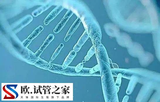 13、14号染色体罗氏易位要做三代试管婴儿进行遗传检测吗？